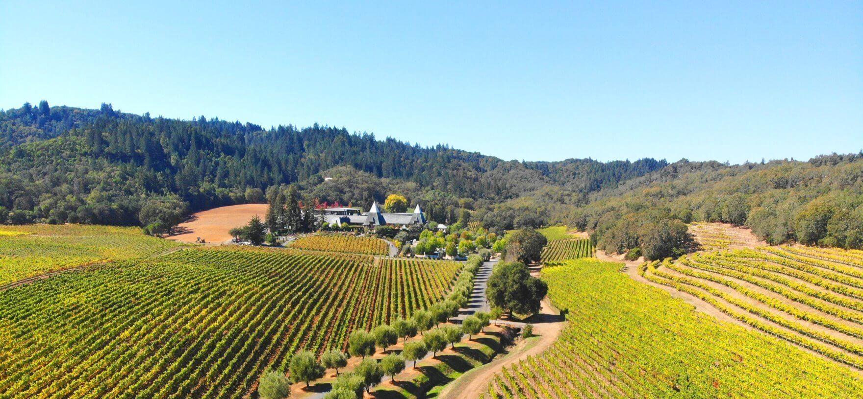 Russian-River-Valley-Dry-Creek-Wine-Trail-Tours (1)